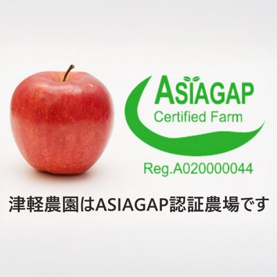 りんご サンふじ【家庭用】約3kg ASIAGAP認証農場 津軽農園|24_tgn-010301