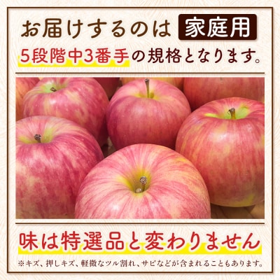 りんご サンふじ【家庭用】約3kg 津軽農園|24_tgn-010301