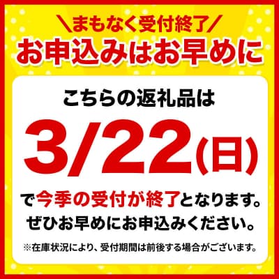 りんご サンふじ【家庭用】約10kg 津軽農園|24_tgn-011001