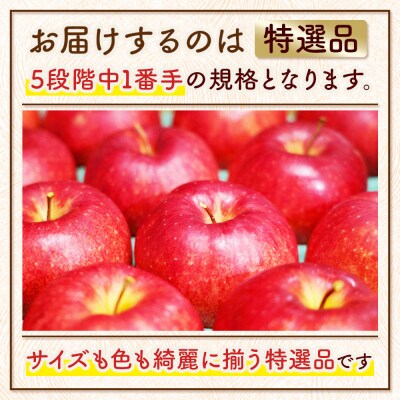 りんご サンふじ【特選品】約5kg ASIAGAP認証農場 津軽農園|24_tgn-020501