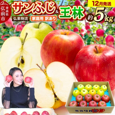りんご 12月発送 サンふじ・王林 詰め合わせ 約5kg|24_hkb-060501a