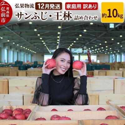 りんご 12月発送 サンふじ・王林 詰め合わせ 約10kg|24_hkb-061001a
