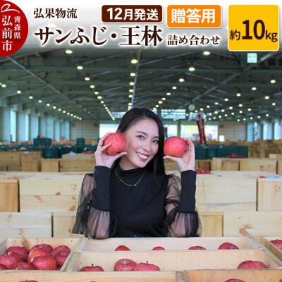 りんご 12月発送 サンふじ・王林 詰め合わせ 約10kg|24_hkb-071001a