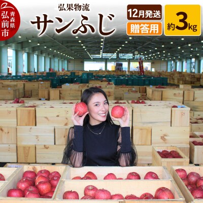 りんご 12月発送 サンふじ 約3kg|24_hkb-140301a