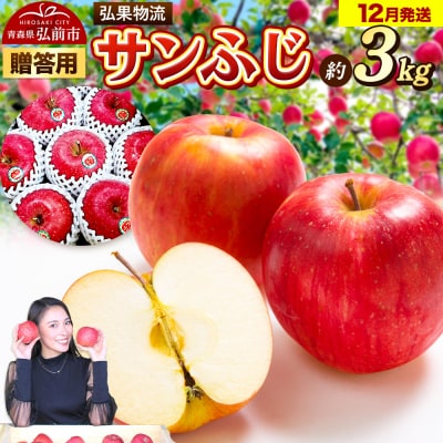 りんご 12月発送 サンふじ 約3kg|24_hkb-140301a
