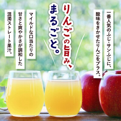 りんごジュース ふじブレンド カートカン 125ml×30本|24_hkb-103001