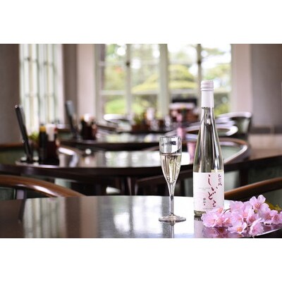 弘前城しいどるセット&りんごと桜のコースター|24_hmj-010101