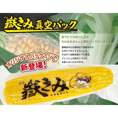 とうもろこし 嶽きみ真空パック10本セット(L～2Lサイズ)|24_ank-041001