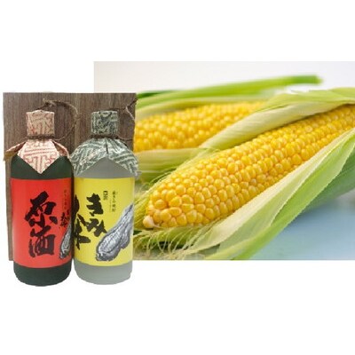 嶽きみ焼酎セット(乙種500ml×2本)[No.5228-0479]
