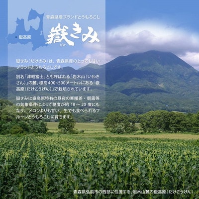 嶽きみ焼酎セット(乙種500ml×2本)[No.5228-0479]