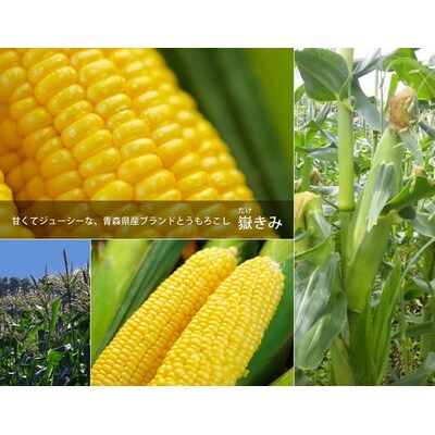 嶽きみ焼酎セット(乙種500ml×2本)[No.5228-0479]