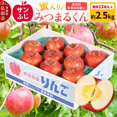 りんご 蜜入り サンふじ(みつまるくん)約 2.5kg 糖度13度以上|24_snk-040201