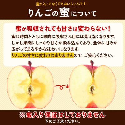 りんご 蜜入り サンふじ(みつまるくん)約 2.5kg 糖度13度以上|24_snk-040201
