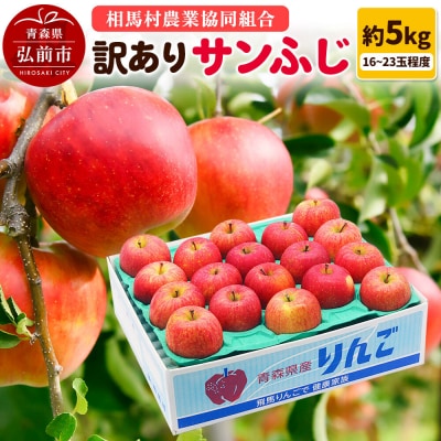 りんご【訳あり】サンふじ 約5kg(16～23玉程度)|24_snk-070501