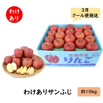 りんご【訳あり】サンふじ 約10kg(32～46玉程度)|24_snk-071001