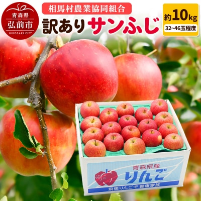 りんご【訳あり】サンふじ 約10kg(32～46玉程度)|24_snk-071001