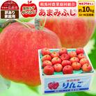 りんご【訳あり】家庭用 あまみふじ(葉取らずサンふじ)約10kg|24_snk-091001