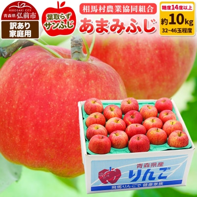 りんご【訳あり】家庭用 あまみふじ(葉取らずサンふじ)約10kg|24_snk-091001