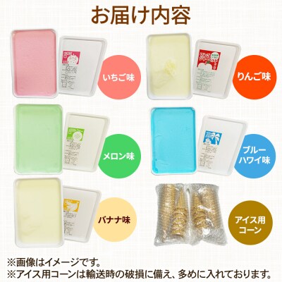 アイス 藤田アイス店 よくばりアイスセット コーン付き|24_tns-020101