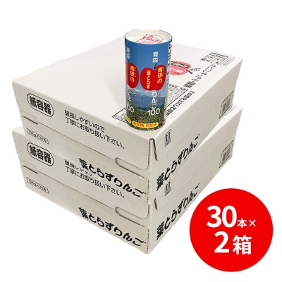 青研りんごジュース【葉とらずりんご100】195g 30本入 2箱|24_bny-070201