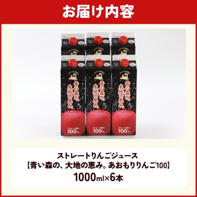 ストレートりんごジュース 1000ml×6本|24_bny-010601