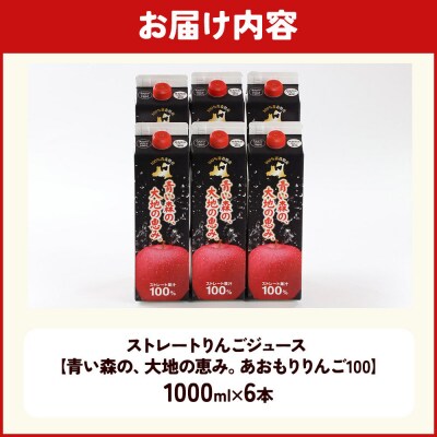 ストレートりんごジュース 1000ml×6本|24_bny-010601