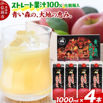 ストレートりんごジュース 1000ml×4本 化粧箱入り|24_bny-020401