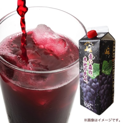 無添加 ストレートぶどうジュース 1000ml×6本|24_bny-030601
