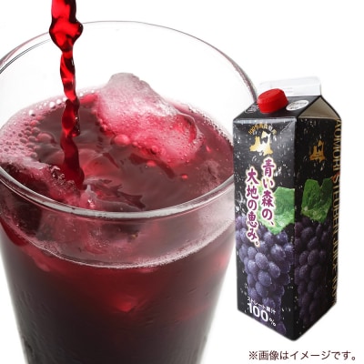 無添加 ストレートぶどうジュース 1000ml×4本 化粧箱入り|24_bny-040401