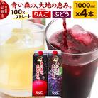 ストレートジュース 詰め合わせセット 1000ml×各2本 化粧箱入り|24_bny-050101