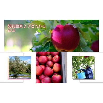 【ピッツェリアミーア】青森県産紅玉丸ごとタルトタタン[No.5228-1148]