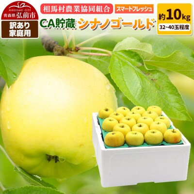 りんご【訳あり】家庭用シナノゴールド約10kg CA スマートフレッシュ|24_snk-081001