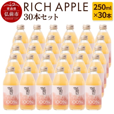 りんごジュース RICH APPLE 30本セット|24_gnk-013001