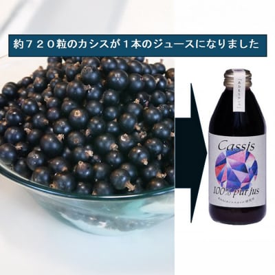 カシス果汁100%ジュース(無加糖・無添加)250ml×2本|24_ack-010201