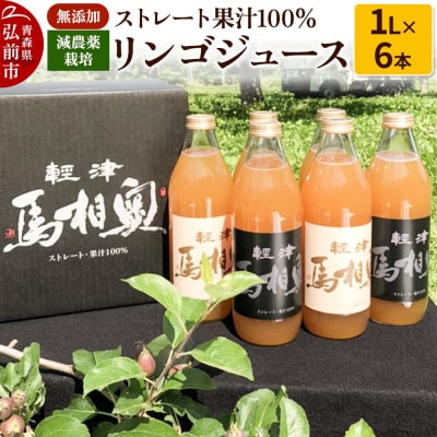 果汁100%リンゴジュース 無添加【津軽 奥相馬】1L×6本 シャンティ|24_snt-010601