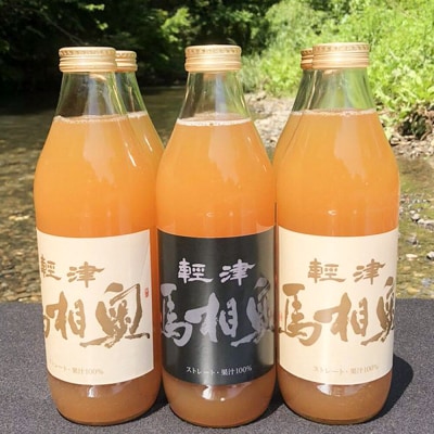 果汁100%リンゴジュース 無添加【津軽 奥相馬】1L×6本 シャンティ|24_snt-010601