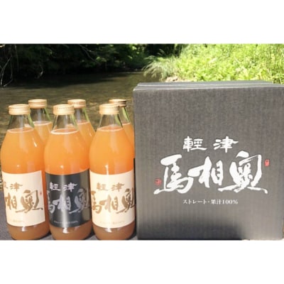 果汁100%リンゴジュース 無添加【津軽 奥相馬】1L×6本 シャンティ|24_snt-010601