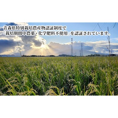 栽培期間中農薬化学肥料不使用 はれわたり 白米 2kg[No.5228-1602]