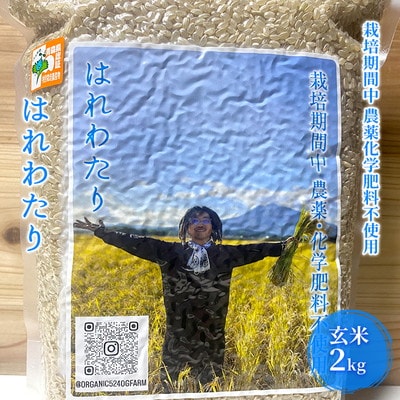 栽培期間中農薬化学肥料不使用 はれわたり 玄米 2kg[No.5228-1604]