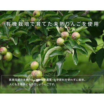 医果同源未熟りんご入り りんごジュース(160g×12本入)|24_irk-011201