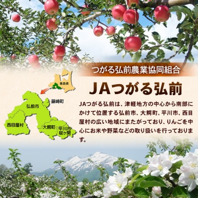 林檎四季りんごジュースセット1L×6本 JAつがる弘前|24_thn-030601