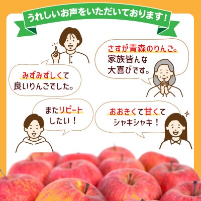 りんご 贈答規格 サンふじ 約 3kg(9～12玉程度)|24_thn-040301