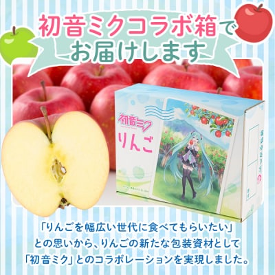 りんご 贈答用 サンふじ 約3kg 初音ミク オリジナルデザイン|24_thn-010301