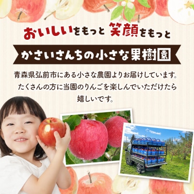 【26年11月下旬～発送】りんご サンふじ 約2kg【家庭用】|24_kck-010201