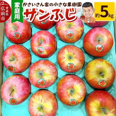 【26年1月～発送】りんご サンふじ 約5kg【家庭用】|24_kck-010501