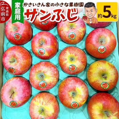 【26年11月下旬～発送】りんご サンふじ 約5kg【家庭用】|24_kck-010501