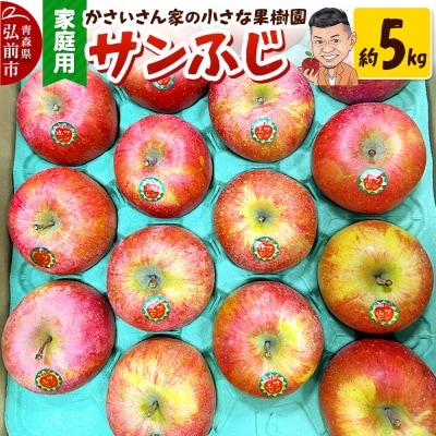 【26年11月下旬～発送】りんご サンふじ 約5kg【家庭用】|24_kck-010501