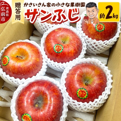 【26年12月発送】りんご サンふじ 約2kg【贈答用】|24_kck-020301