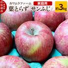 りんご【先行受付】葉とらず サンふじ 約3kg カワムラファーム 家庭用|24_kmf-010301