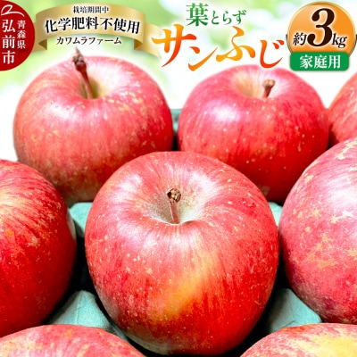 りんご【先行受付】葉とらず サンふじ 約3kg カワムラファーム 家庭用|24_kmf-010301